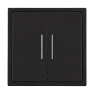 Фото #1 товара Механизм звонкового выключателя двухклавишный LED SWT-NOBE-MKR2-SFPL-L-BK (230V, 10A) (Arlight, Черный оникс)