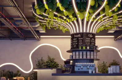 Вебинар «Освещение в ресторанах»