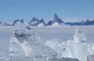 Иглу в Антарктиде