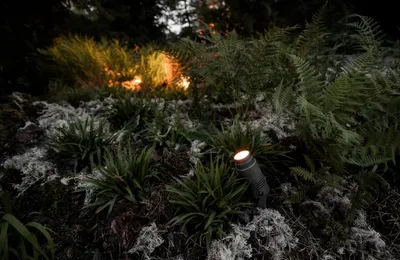 «Исходный код»: ландшафтный проект с участием Arlight стал победителем VIII фестиваля исторических садов