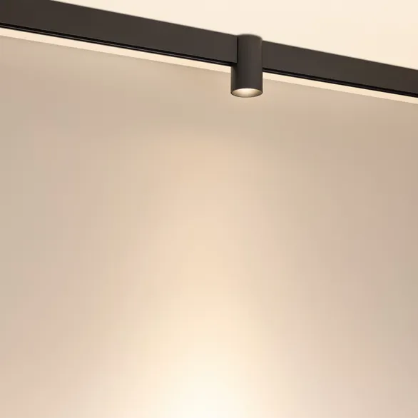 Светильник MAG-ORIENT-AXIO-R60-10W Warm3000 (BK, 24 deg, 48V) (Arlight, IP20 Металл, 5 лет)