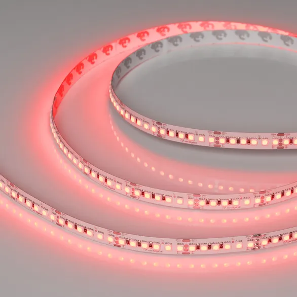 Светодиодная лента RT-G168-10mm 24V RGB (17.3 W/m, IP20, 3838, 5m) (Arlight, Открытый)