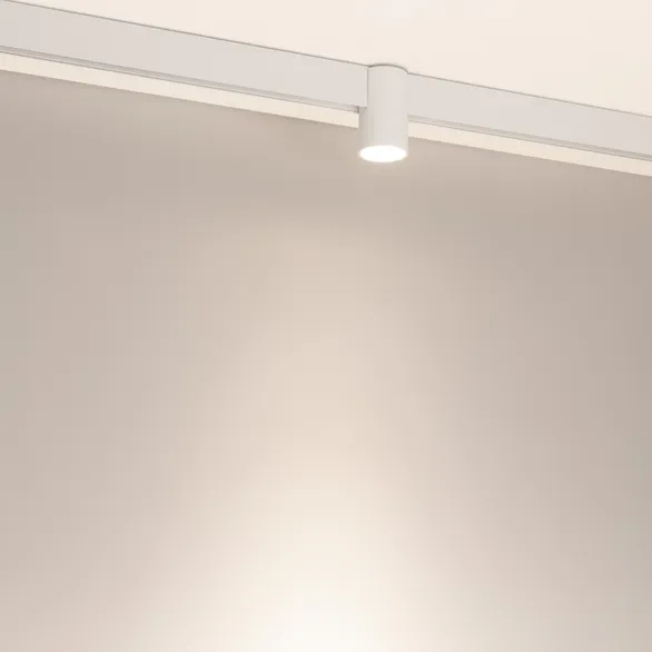 Светильник MAG-ORIENT-AXIO-R60-10W Day4000 (WH, 24 deg, 48V) (Arlight, IP20 Металл, 5 лет)