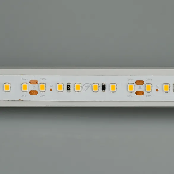 Светодиодная лента IC2-20000 24V White6000 2x 12mm (2835, 120 LED/m, Long) (Arlight, 9.6 Вт/м, IP20)