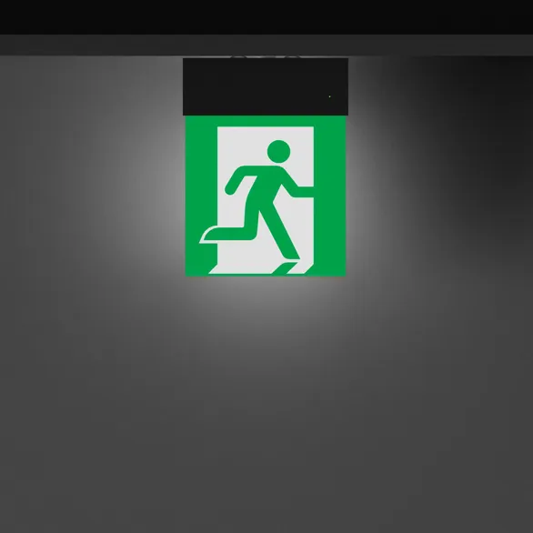 Световой указатель EMG-MARK-S-3H-BK (Arlight, IP40 Металл, 5 лет)