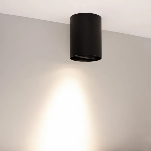 Светильник SP-FOCUS-R110-18W Day4000 (BK, 24 deg, 230V) (Arlight, IP54 Металл, 5 лет)
