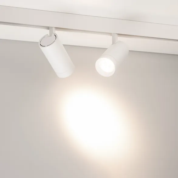 Светильник MAG-ORIENT-SPOT-R65-20W Day4000 (WH, 24 deg, 48V) (Arlight, IP20 Металл, 5 лет)