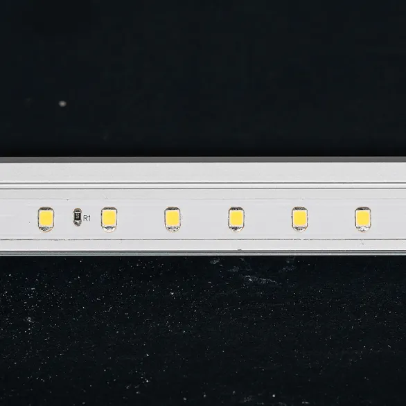 Светодиодная лента RT 2-5000 24V Day5000 (2835, 80 LED/m, LUX) (Arlight, 6 Вт/м, IP20)