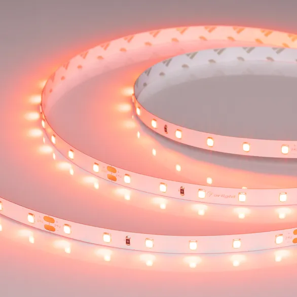 Светодиодная лента RT-A60-8mm 24V Carrot (4.8 W/m, IP20, 5m) (Arlight, -)