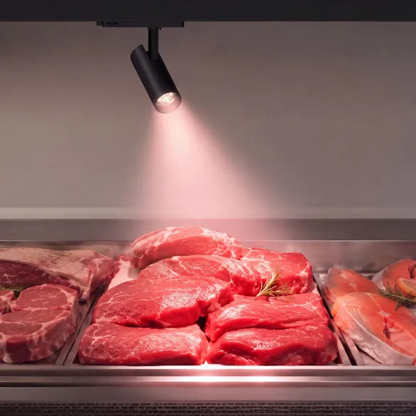 Светильник LGD-GERA-4TR-R74-20W Warm SP2900-Meat (Белый, 55 deg, 230V) (Arlight, IP20 Металл, 5 лет)