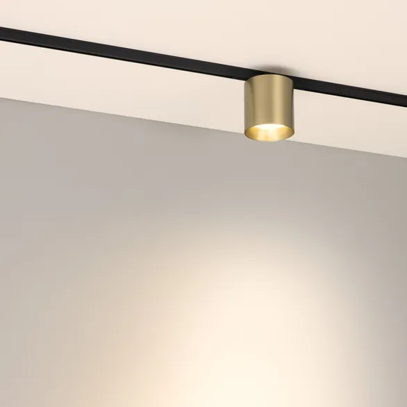 Светильник MAG-MICROCOSM-POINT-R68-7W Warm3000 (BR, 36 deg, 24V) (Arlight, IP20 Металл, 5 лет)