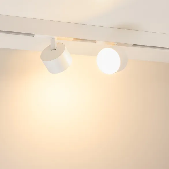 Светильник MAG-ORIENT-RONDO-R90-9W Day4000-MIX (WH, 110 deg, 48V, DALI) (Arlight, IP20 Металл, 5 лет)