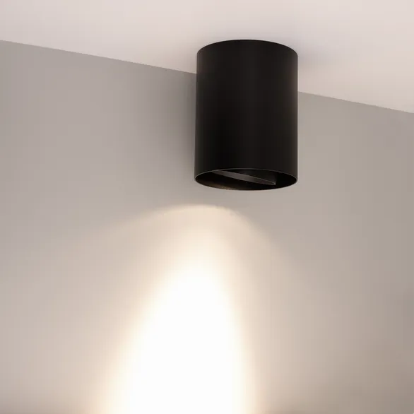 Светильник SP-FOCUS-R132-24W Day4000 (BK, 24 deg, 230V) (Arlight, IP54 Металл, 5 лет)