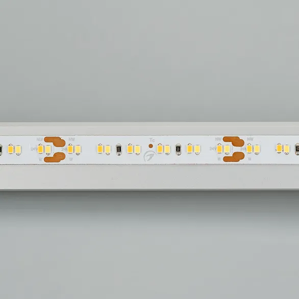 Светодиодная лента MICROLED-5000 24V White-CDW 8mm (2216, 240 LED/m, Bipolar) (Arlight, 9.6 Вт/м, IP20)
