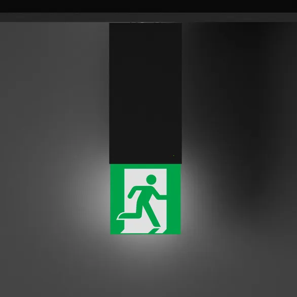Световой указатель EMG-MARK-L-3H-BK (Arlight, IP40 Металл, 5 лет)