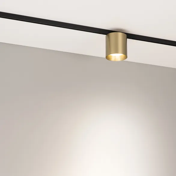 Светильник MAG-MICROCOSM-POINT-R68-7W Day4000 (BR, 36 deg, 24V) (Arlight, IP20 Металл, 5 лет)