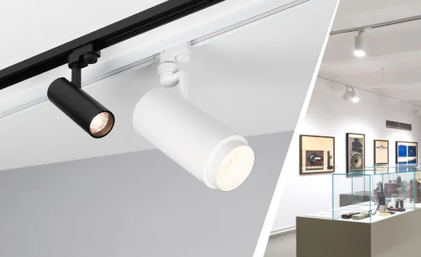 GERA и ZEUS TRUECOLOR — превосходство света