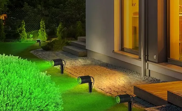 Яркие краски вашего сада