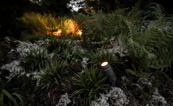 «Исходный код»: ландшафтный проект с участием Arlight стал победителем VIII фестиваля исторических садов