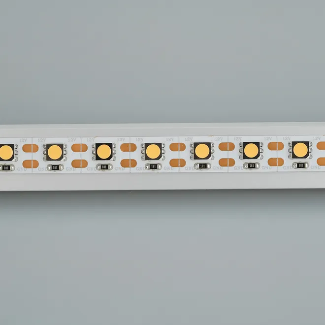 Светодиодная лента RT 2-5000 12V Cx1 Day5000 2x (5060, 360 LED, CRI98) (Arlight, 16.8 Вт/м, IP20)