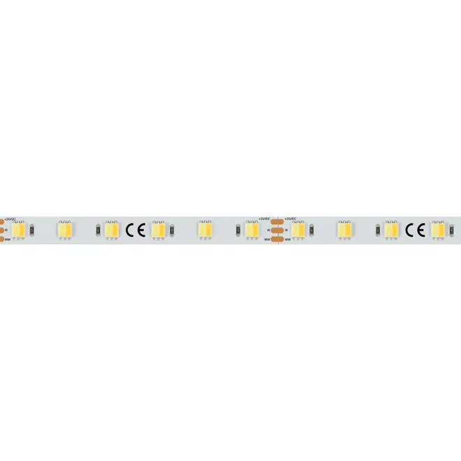 Светодиодная лента RT 6-5000 24V White-MIX-One 2x (5060, 60 LED/m, LUX) (Arlight, Изменяемая ЦТ)