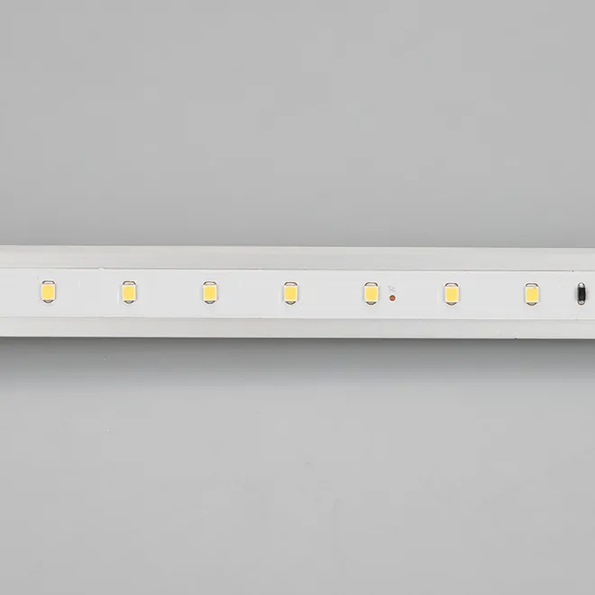 Светодиодная лента IC 2-30000 24V Day5000 10mm (2835, 60 LED/m, LUX) (Arlight, 4.6 Вт/м, IP20)