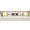 Модуль герметичный ARL-PGM5050-2 Red (Arlight, Закрытый)