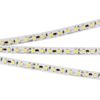 Светодиодная лента RT-10000 24V White5500 2x (3528, 120 LED/m, 10m) (Arlight, 9.6 Вт/м, IP20)