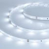 Светодиодная лента RT 2-5000 24V Cool 8K 0.5x (3528, 150 LED, LUX) (Arlight, 2.9 Вт/м, IP20)