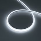 Гибкий неон A180 IP68 24V 14mm Dome