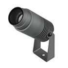 RAY ZOOM